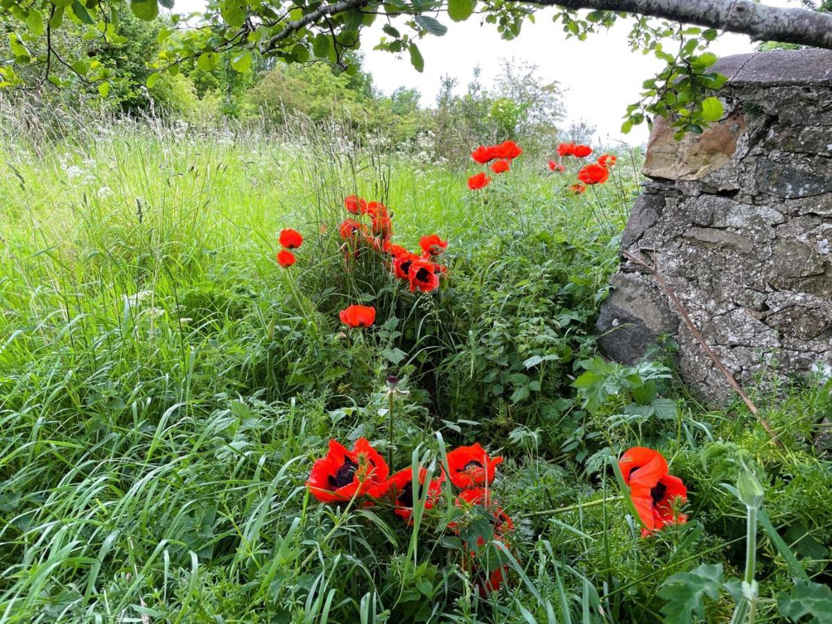 Deveron Valley Cottages Marnoch Exteriör bild