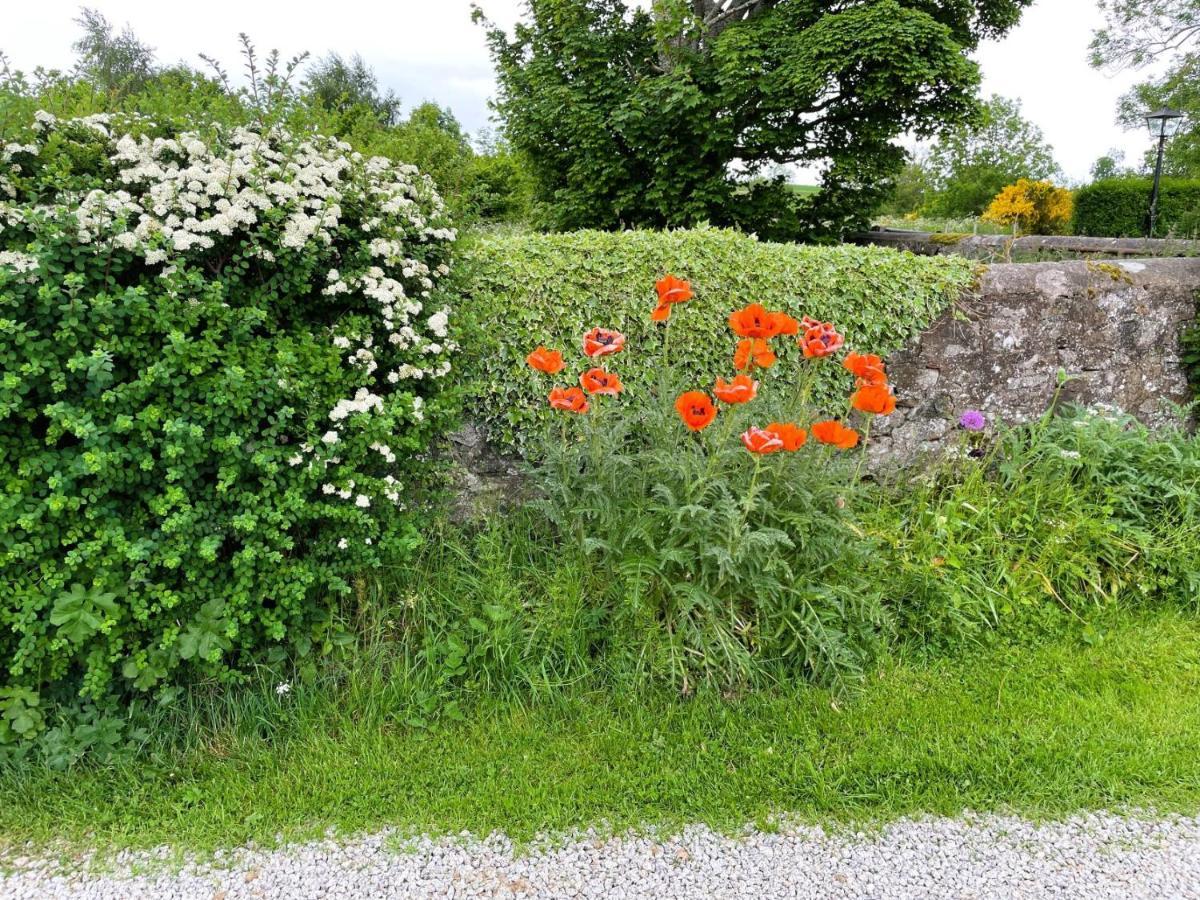 Deveron Valley Cottages Marnoch Exteriör bild